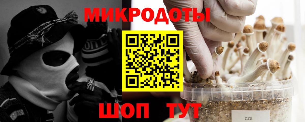 Галлюциногенные грибы прущие грибы  Вход с VPN  Корсаков 